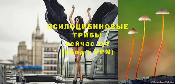 эйфоретик Нея