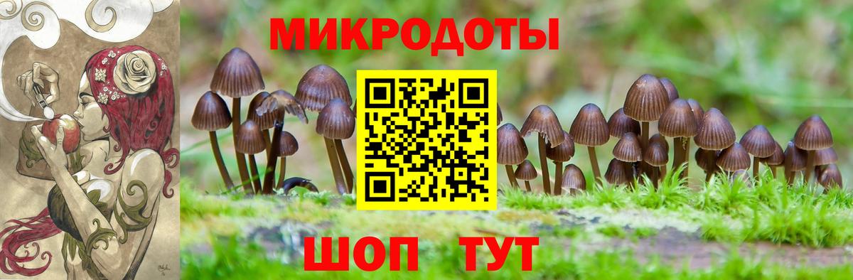 Томск  Галлюциногенные грибы GOLDEN TEACHER  Вход с VPN 